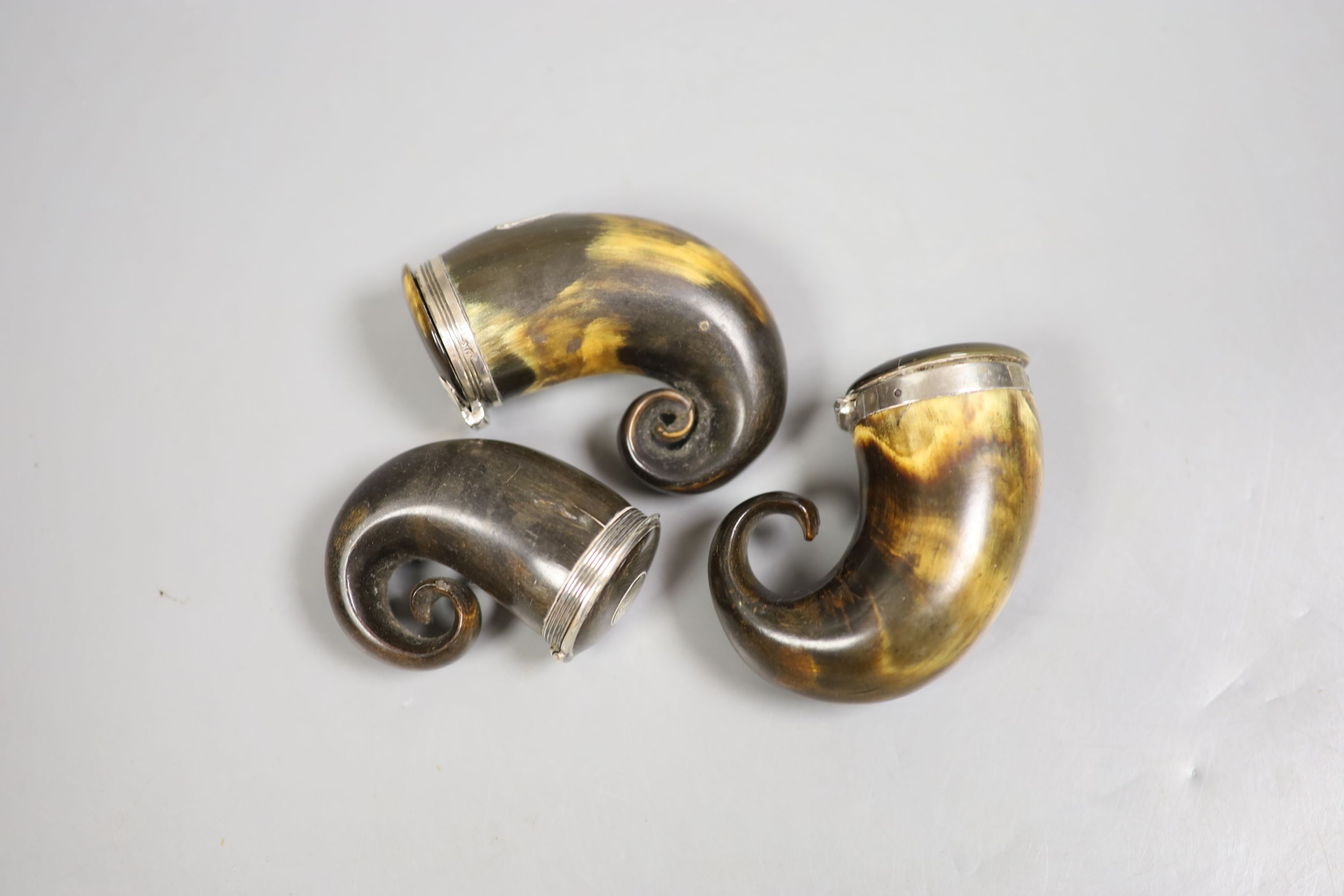 Three 19th century Scottish white metal mounted horn snuff mulls, largest 71mm.